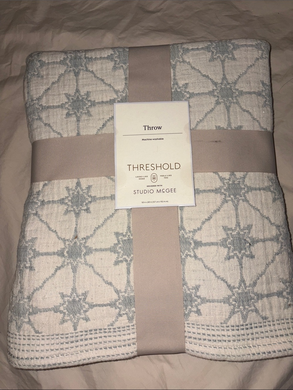 Threshold Studio McGee Pale Blue and Cream Geometric Throw Reversible